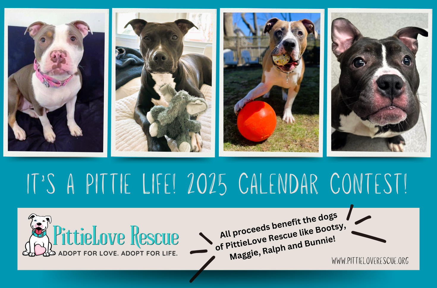 It's a Pittie Life! Calendar
