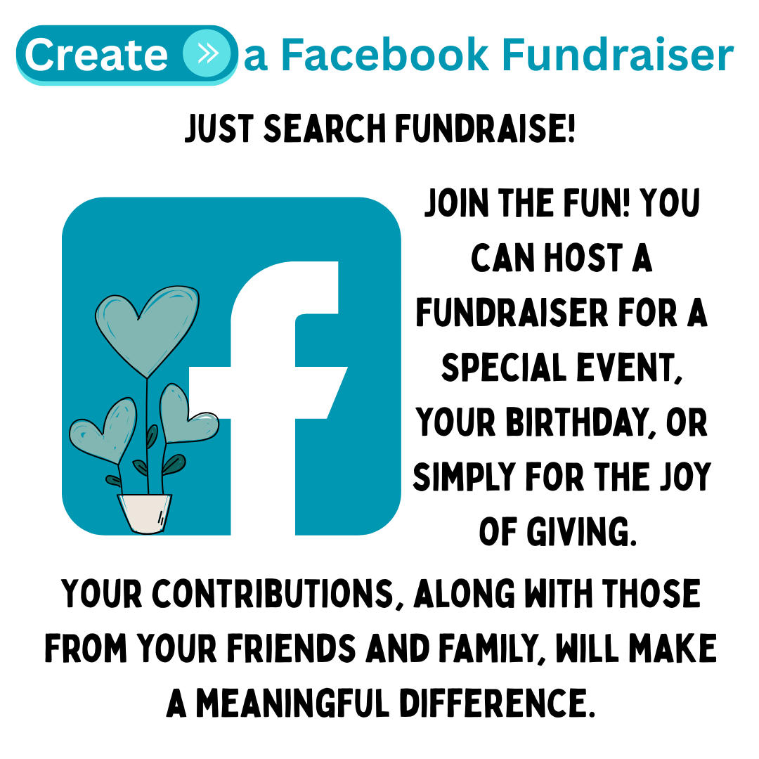 facebook fundraise button