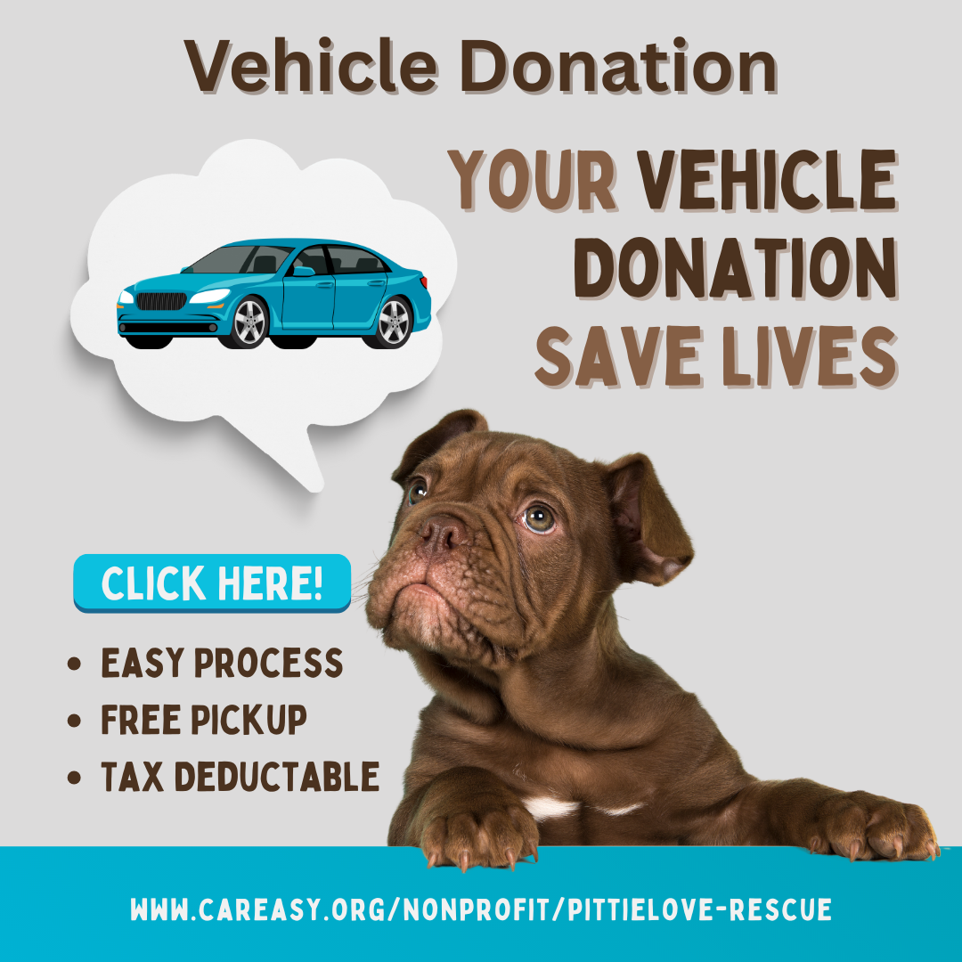 vehicle car donation banner