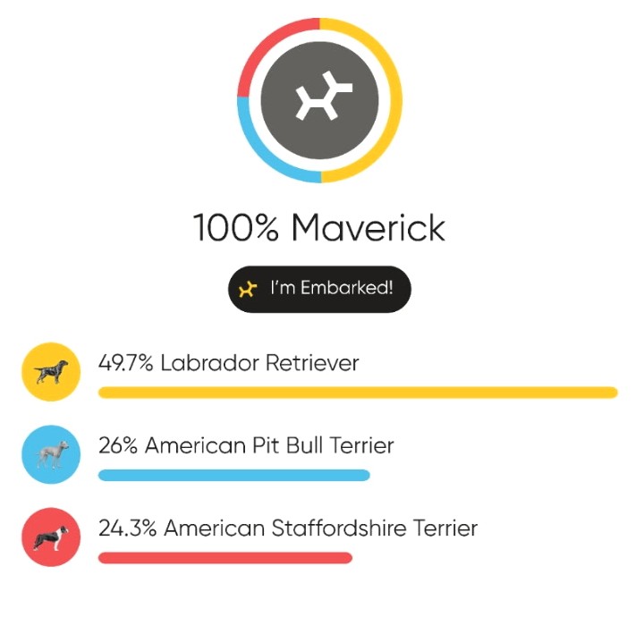 maverick dna results