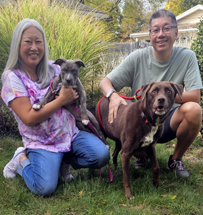 Honey Crisp now Maddie