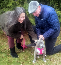 Honey Crisp now Apple