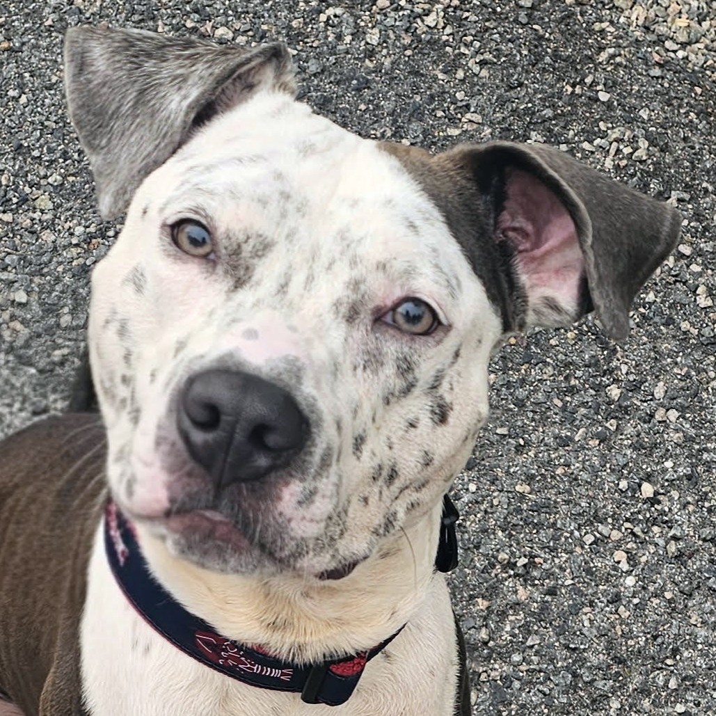 Milo