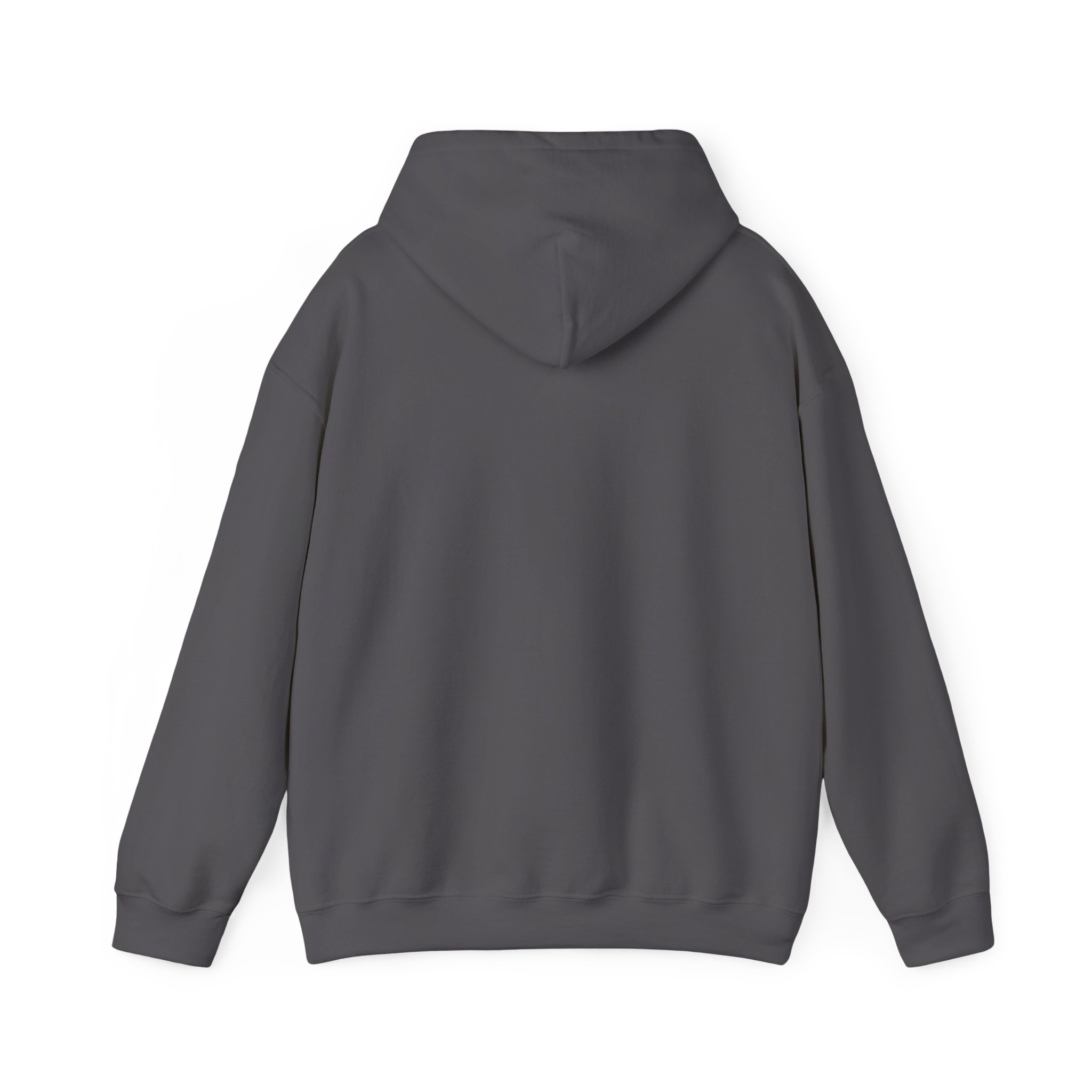 PittieLove Rescue Hoodie — Pit Bull Rescue Heart Graphic Sweatshirt - Image 26